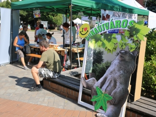 KönyvTér a Városháza téren (2023) - fotó: 