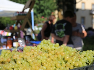 KönyvTér a Városháza téren (2023) - fotó: 