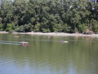 II. Wichmann Regatta és Nagy Sportágválasztó - fotó: 