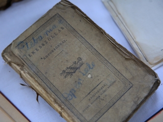 Nyitott nap a Katolikus Karitász szervezésében - fotó: 