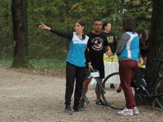 Az erdei tornapálya megtisztítása - fotó: 