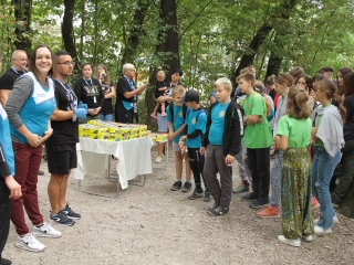 Az erdei tornapálya megtisztítása - fotó: 