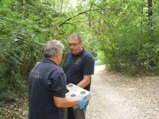 Az erdei tornapálya megtisztítása - fotó: 