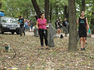 Az erdei tornapálya megtisztítása - fotó: 