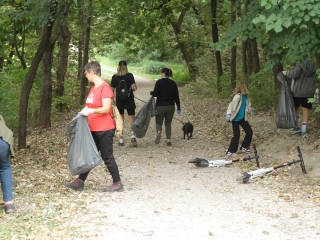 Az erdei tornapálya megtisztítása - fotó: 