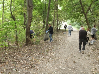 Az erdei tornapálya megtisztítása - fotó: 