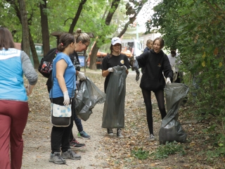 Az erdei tornapálya megtisztítása - fotó: 