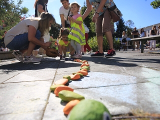 Megkezdődött a Szolidaritás és Érzékenyítés Hete - fotó: 