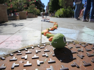 Megkezdődött a Szolidaritás és Érzékenyítés Hete - fotó: 