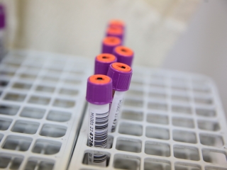 Újtelepi Piknik (2023) - fotó: 