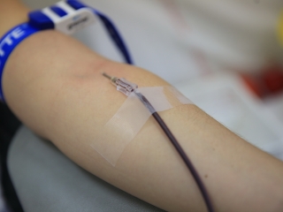 Újtelepi Piknik (2023) - fotó: 