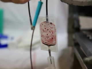 Újtelepi Piknik (2023) - fotó: 