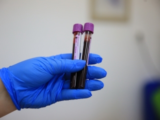 Újtelepi Piknik (2023) - fotó: 