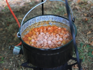 Újtelepi Piknik (2023) - fotó: 