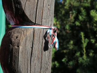 A forradalom emlékezete – ünnepi pillanatokkal - fotó: 