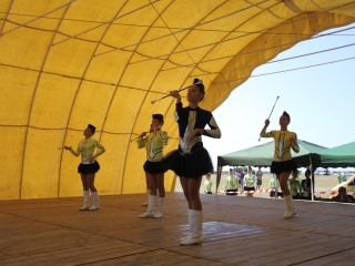 III. Baracs-Kisapostag Repülőnap - fotó: Ónodi Zoltán