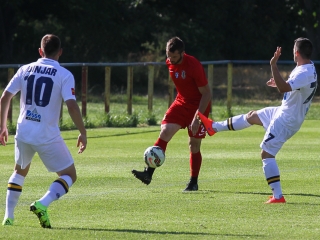 Dpase- Puskás Akadémia Edzőmérkőzés - fotó: Ónodi Zoltán