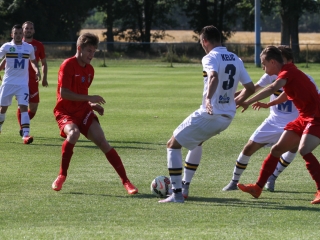 Dpase- Puskás Akadémia Edzőmérkőzés - fotó: Ónodi Zoltán