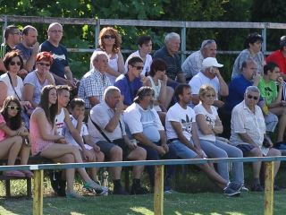 Dpase- Puskás Akadémia Edzőmérkőzés - fotó: Ónodi Zoltán