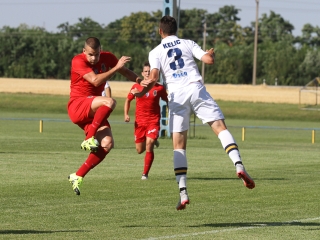 Dpase- Puskás Akadémia Edzőmérkőzés - fotó: Ónodi Zoltán