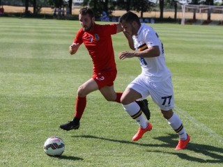 Dpase- Puskás Akadémia Edzőmérkőzés - fotó: Ónodi Zoltán