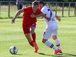 Dpase- Puskás Akadémia Edzőmérkőzés - fotó: Ónodi Zoltán