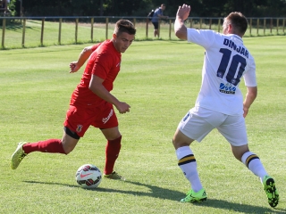 Dpase- Puskás Akadémia Edzőmérkőzés - fotó: Ónodi Zoltán