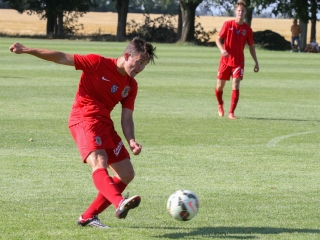 Dpase- Puskás Akadémia Edzőmérkőzés - fotó: Ónodi Zoltán
