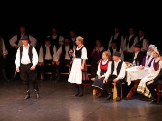 Dunaújvárosi Vasas Táncegyüttes – közös ünnep a Bartókban - fotó: 