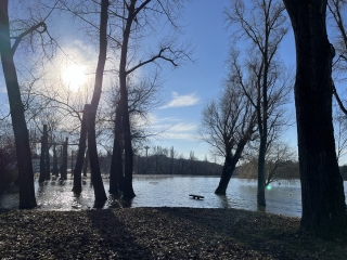 Árhullám, tetőzés az öbölben és a szabadstrandon - fotó: 