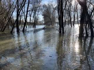 Árhullám, tetőzés az öbölben és a szabadstrandon - fotó: 