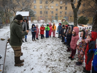 Madárgyűrűzés az Aranyalmában - fotó: 