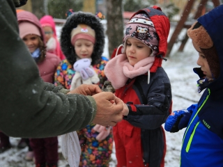 Madárgyűrűzés az Aranyalmában - fotó: 