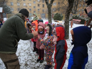 Madárgyűrűzés az Aranyalmában - fotó: 
