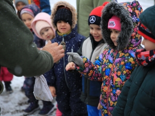 Madárgyűrűzés az Aranyalmában - fotó: 