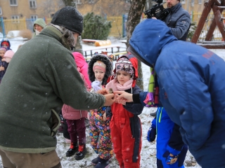 Madárgyűrűzés az Aranyalmában - fotó: 