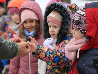 Madárgyűrűzés az Aranyalmában - fotó: 