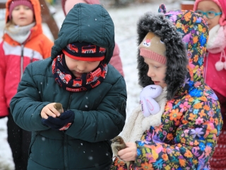 Madárgyűrűzés az Aranyalmában - fotó: 