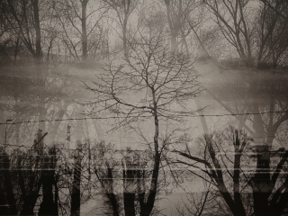 Dunaújváros Tárlat (2024) - fotó: 