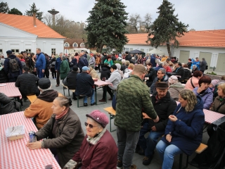 A XII. Pentelei Kolbászfesztivál képeken - fotó: 