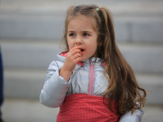 A XII. Pentelei Kolbászfesztivál képeken - fotó: 