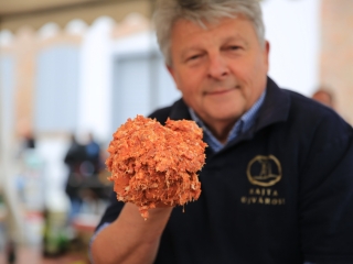 A XII. Pentelei Kolbászfesztivál képeken - fotó: 