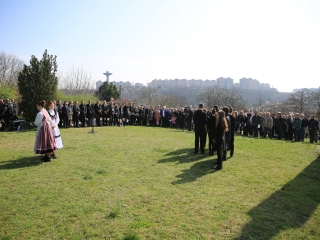 Ünnepség a forradalmi emlékműnél, megemlékezés Rosti Pál sírjánál - fotó: 
