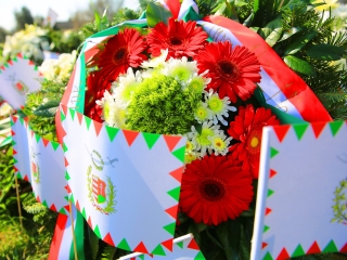 Ünnepség a forradalmi emlékműnél, megemlékezés Rosti Pál sírjánál - fotó: 