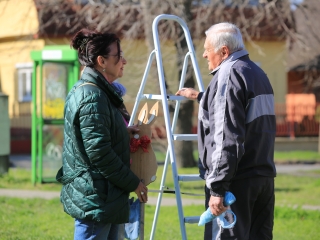 A kertvárosi tojásfa – civil összefogással - fotó: 