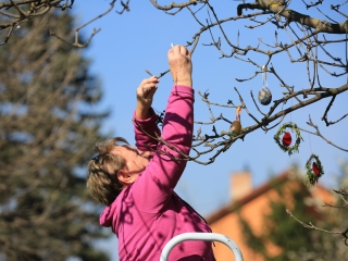 A kertvárosi tojásfa – civil összefogással - fotó: 