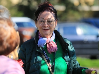 A kertvárosi tojásfa – civil összefogással - fotó: 