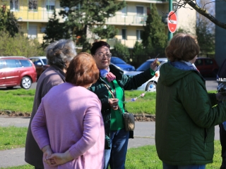 A kertvárosi tojásfa – civil összefogással - fotó: 