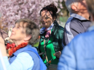 A kertvárosi tojásfa – civil összefogással - fotó: 