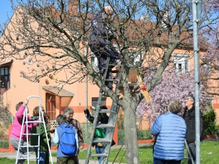 A kertvárosi tojásfa – civil összefogással - fotó: 